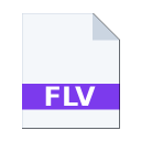 .FLV icon