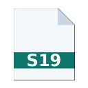 .S19 icon